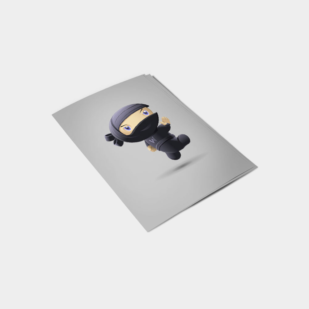 flying ninja flying ninja